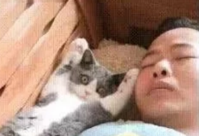 猫咪和男主睡觉好 被女主发现后一脸惊慌：妈 我什么都没做！(图1)
