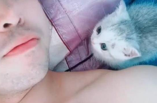 男子睡时感觉上身边有东西 睁眼后笑出了声 猫：别睡了 起来玩(图1)