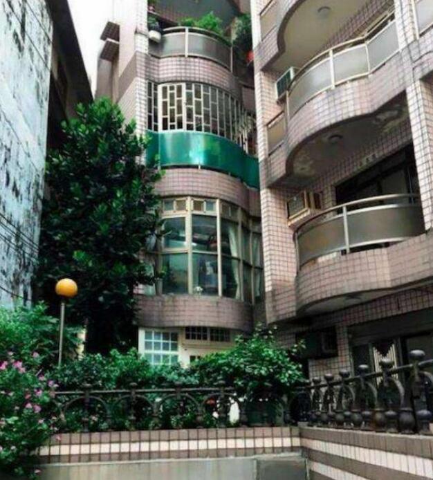 主人下班回家 比起见到自家的猫狗在窗台上:那两个傻子回来了(图2)