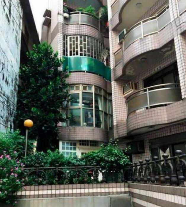 主人下班回家 比起见到自家的猫狗在窗台上:那两个傻子回来了(图4)