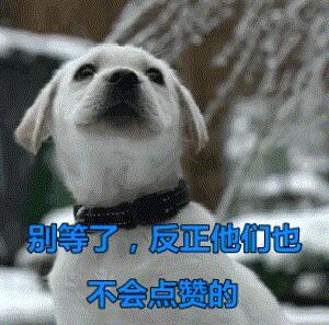 主人在墙上画了只橘猫 家里两只猫咪不淡定了：别怕！我救你出来(图5)