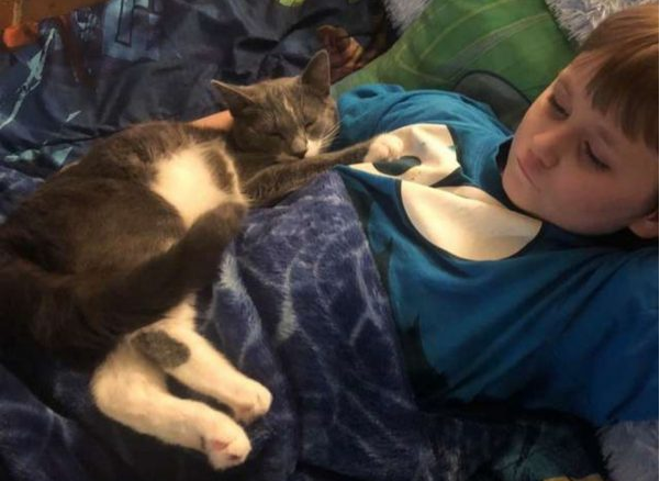 男孩同盟失调情绪崩溃暖猫蹭蹭宽慰超治好！(图1)