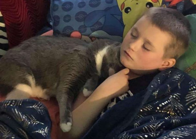 男孩同盟失调情绪崩溃暖猫蹭蹭宽慰超治好！(图2)