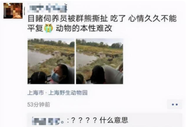 妹子撸大老虎 它不反抗还极其享受啊！网友：比我家猫咪还亲人！(图3)
