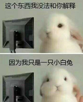 这只小鸭被猫头鹰养大到底是什么鬼？还有这种操作(图1)