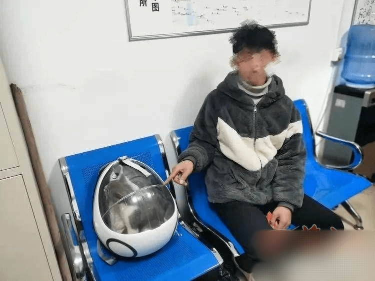 西安一男子偷回来猫想再卖掉时发现失主报警 竟假装发贴子寻主 还称自己是好心被收留？！(图2)