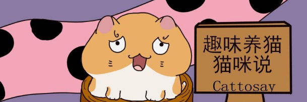 铲屎官给幼猫下了的第一印象对猫很重要(图1)