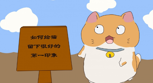 铲屎官给幼猫下了的第一印象对猫很重要(图2)