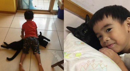 后脑勺好闻吗?萌娃抱黑猫后脑勺狂吸(图1)