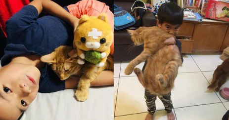 后脑勺好闻吗?萌娃抱黑猫后脑勺狂吸(图2)
