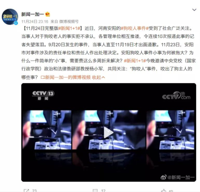 咬人的狗 被杀的猫 背后都是什么东西人？(图1)