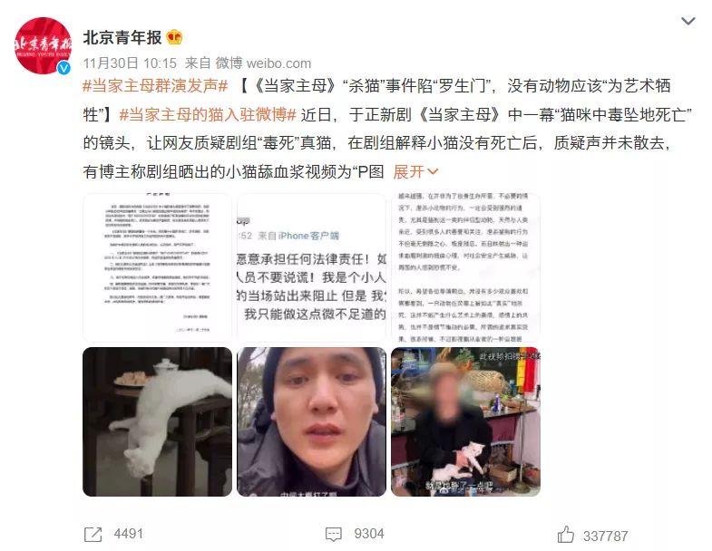 咬人的狗 被杀的猫 背后都是什么东西人？(图4)
