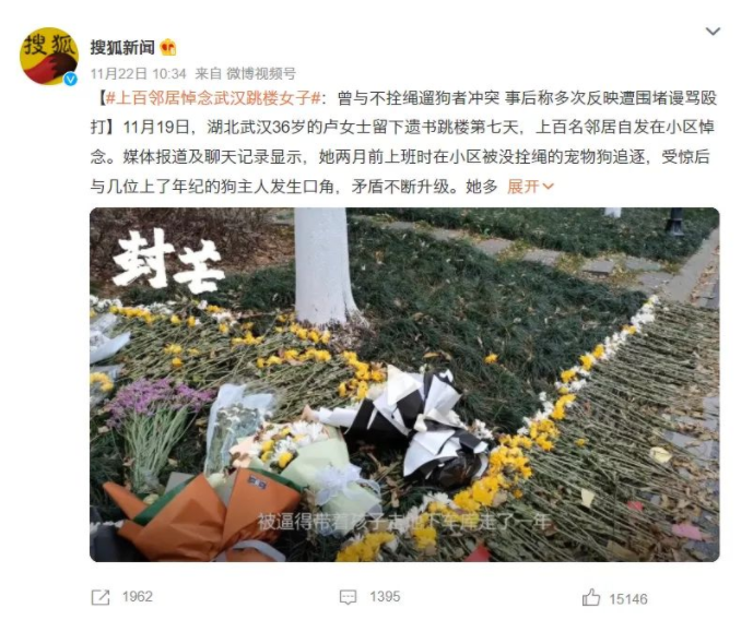 咬人的狗 被杀的猫 背后都是什么东西人？(图2)