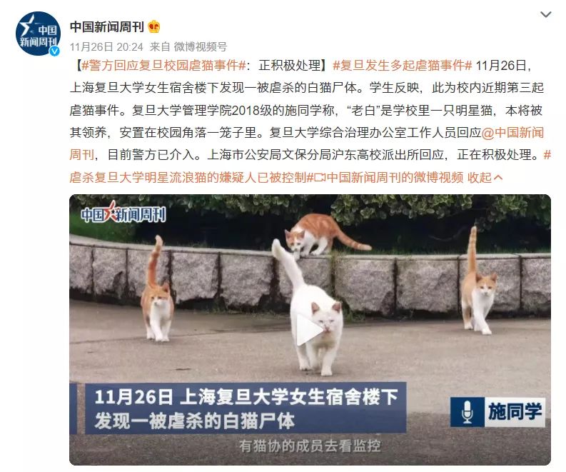 咬人的狗 被杀的猫 背后都是什么东西人？(图3)