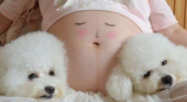 怀孕期间养狗狗常见问题(图1)