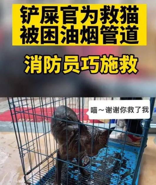 小伙爬入7米深的油管 营救掉的的猫咪：是确实很爱猫呀(图2)