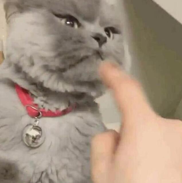 主人太无聊逗猫 却把猫咪得罪了 看见了猫咪的表情顿时笑抽(图2)
