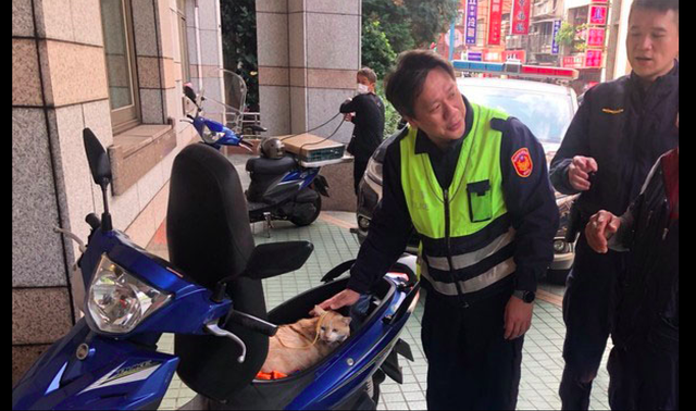 老人因很喜欢橘猫将它抢走了 警察找请上门后哭笑不得 它还在专注地干饭(图3)