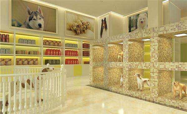 宠物店怎莫开 开店铺前先看一下(图3)
