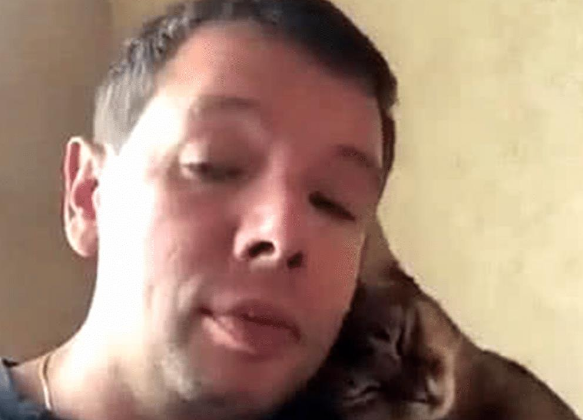 猫咪亲了下男主 本以为就结束了了 接下来的的举动令人笑喷了(图1)