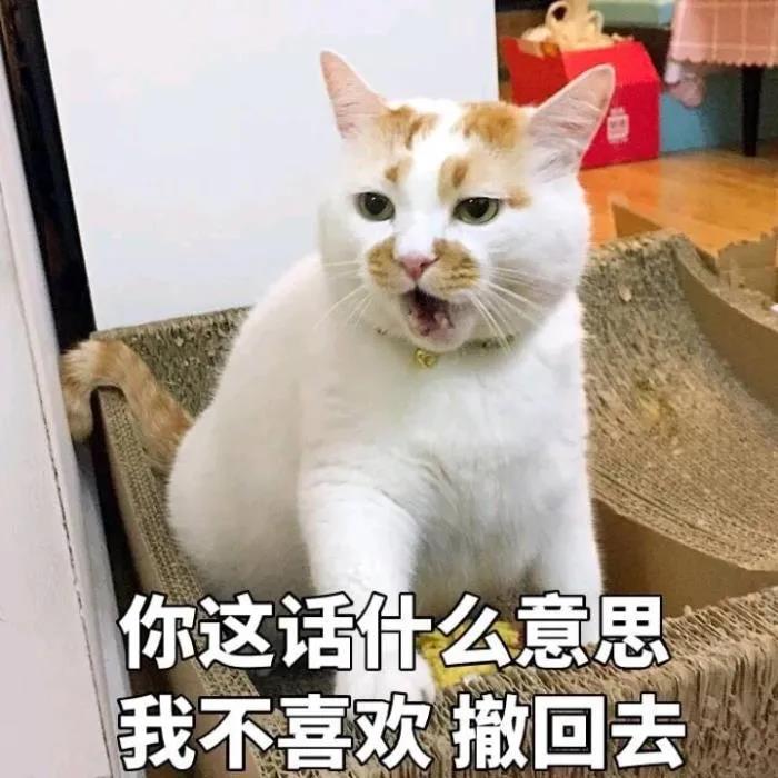 当猫咪懒起来 也真够让人大开眼界了！(图5)