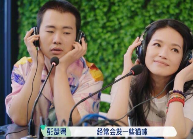 舒淇自曝养猫经验 再次呼吁领养代替购买 曾一次再次发文保护流浪猫获赞(图1)
