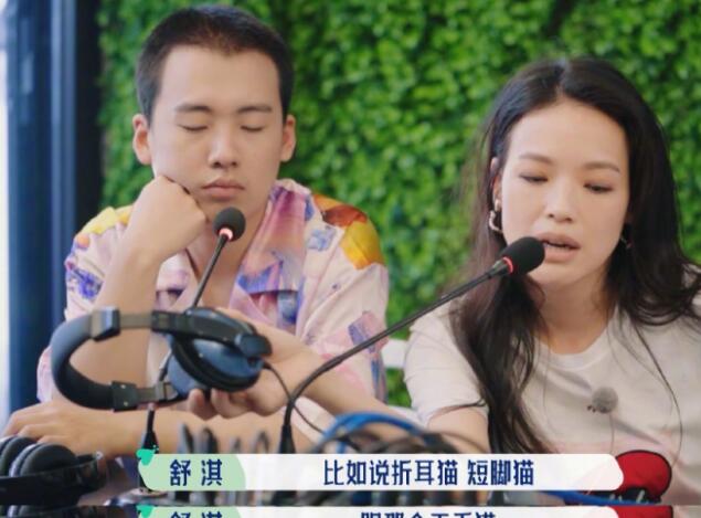 舒淇自曝养猫经验 再次呼吁领养代替购买 曾一次再次发文保护流浪猫获赞(图3)