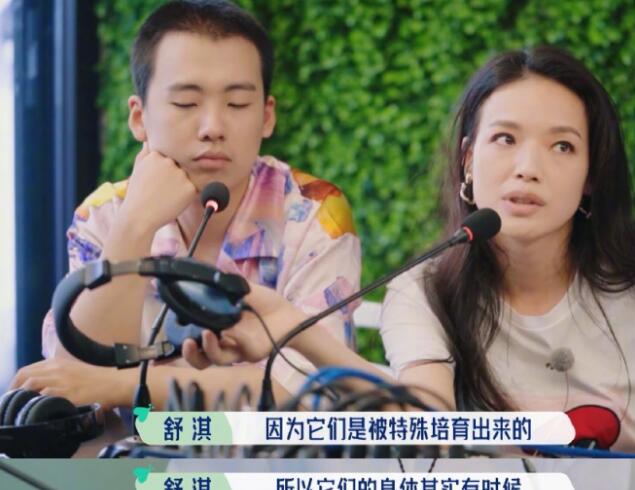 舒淇自曝养猫经验 再次呼吁领养代替购买 曾一次再次发文保护流浪猫获赞(图4)