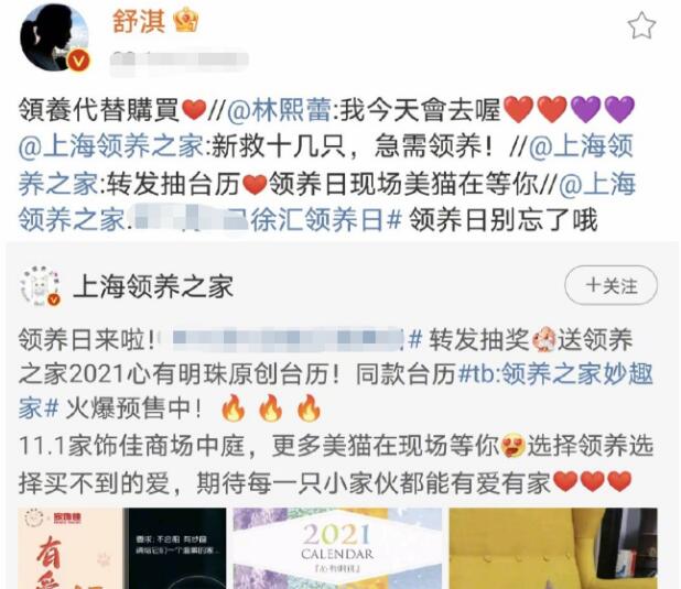舒淇自曝养猫经验 再次呼吁领养代替购买 曾一次再次发文保护流浪猫获赞(图7)
