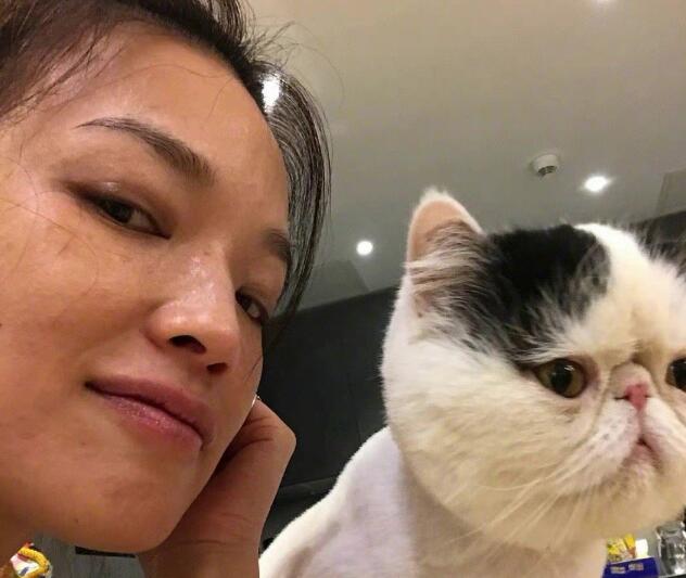 舒淇自曝养猫经验 再次呼吁领养代替购买 曾一次再次发文保护流浪猫获赞(图8)
