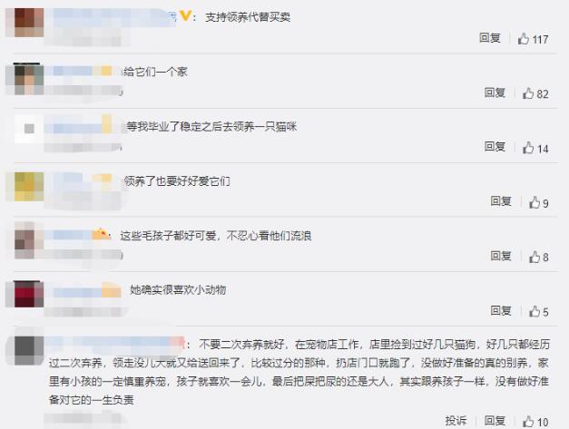 舒淇自曝养猫经验 再次呼吁领养代替购买 曾一次再次发文保护流浪猫获赞(图9)