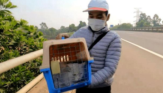 蓬头垢面白猫被人类拴在桥上太阳暴晒 看见了好心人它忙不迭喊:快救命啊吧!(图4)