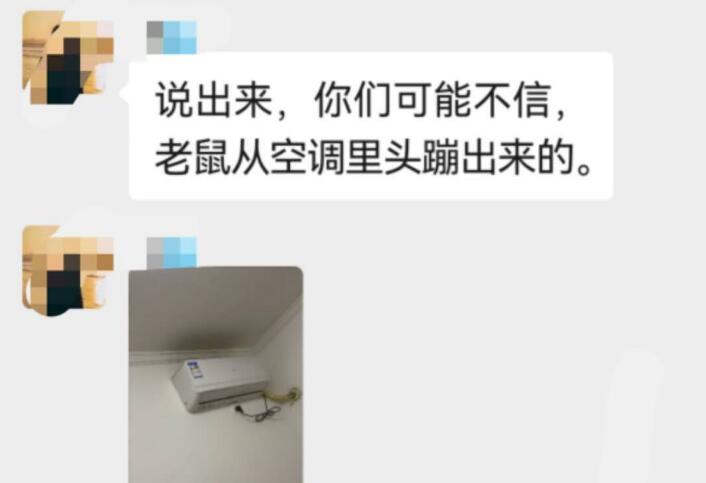 业主群有人要借猫 看看吧咋回事(图1)