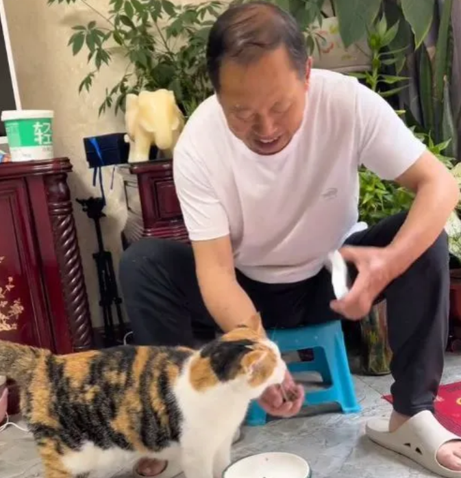 大爷带2只猫咪遛弯 路上遇行人再度回过头来：跑过业务去养鹅吧(图1)