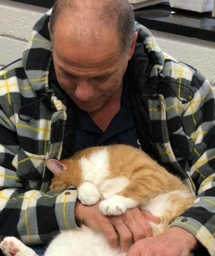 超委屈！三岁橘猫毕竟太粘人反遭主人弃狗(图2)