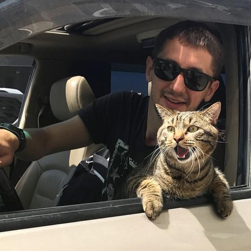 猫太胖上不了飞机 他竟然找了只瘦猫做“替身” 这操作太骚了!(图2)