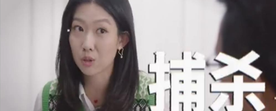 储殷：流浪猫狗都是突袭动物 应该要直接偷猎(图2)