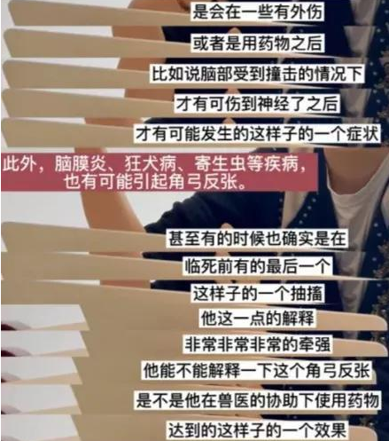 被卷入“虐猫杀猫”疑云 于正这回翻车真“要命”了？《当家主母》再度紧急回应(图1)