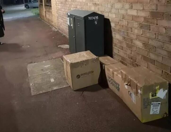 好心人在路边听了很微弱猫叫 密封纸箱可以打开后 里面陡然间11只小猫(图1)