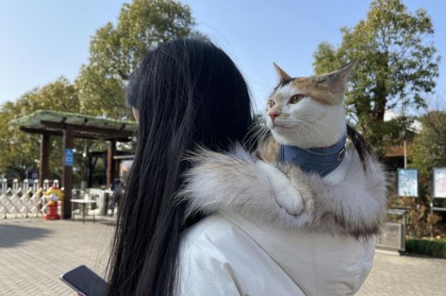 晓看天色暮看云—带了猫咪去远行(图1)