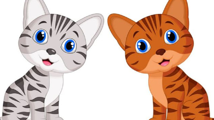 猫死了后可不可以埋(图1)