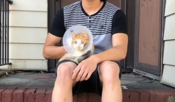 从流落街头营养不良的病猫到人见人爱花见花开小可爱它有过了什么？(图3)