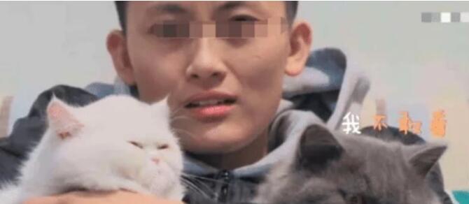 小伙和猫咪在看恐怖片 看见鬼进去后 猫咪的表情亮了(图1)