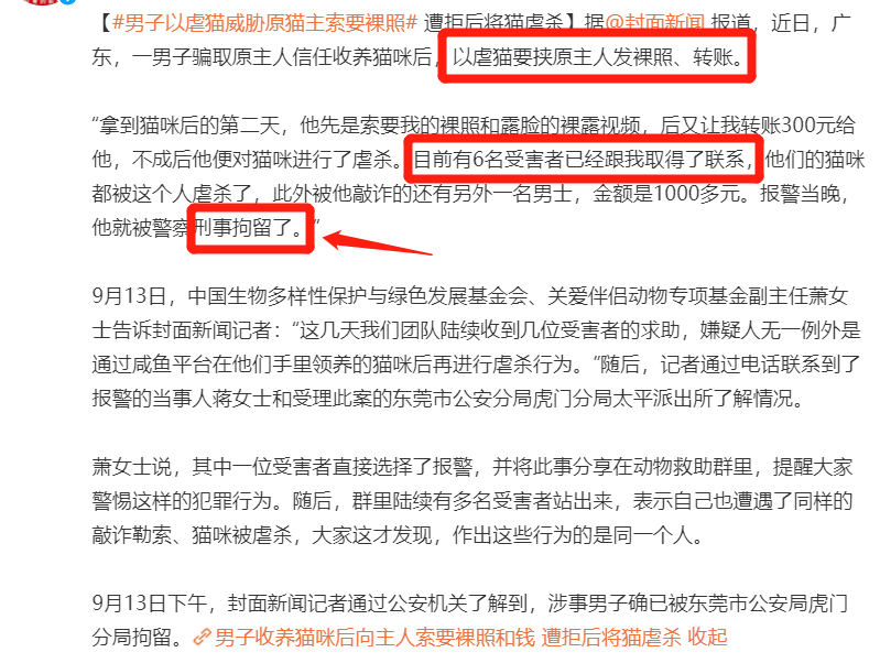 已被治安拘留！男子虐猫问原主人索要财物 他会被怎么行政处罚？(图1)
