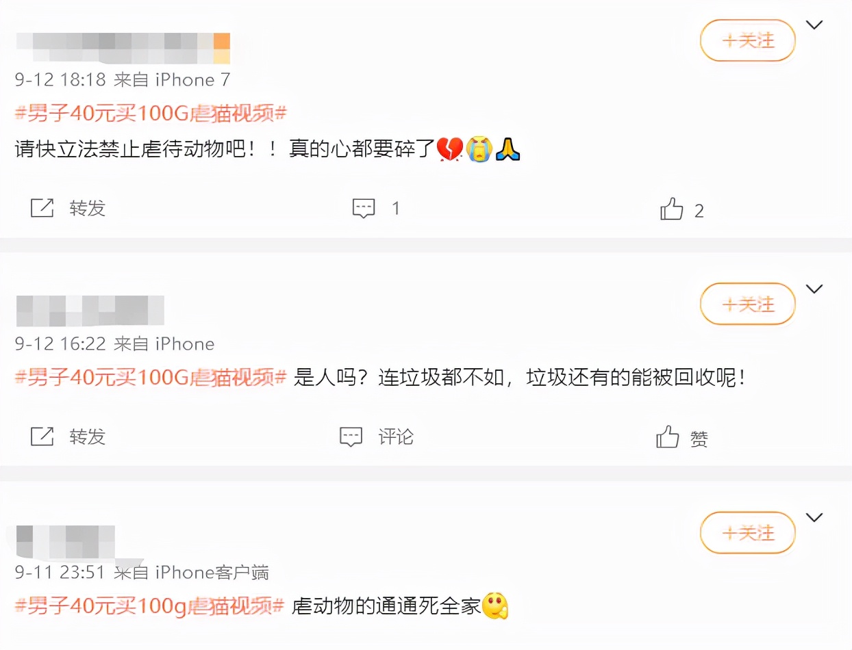 已被治安拘留！男子虐猫问原主人索要财物 他会被怎么行政处罚？(图2)