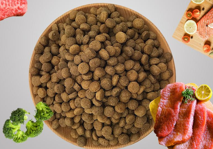 贵宾犬咋养?迅速地能养成秘诀看这里！(图3)