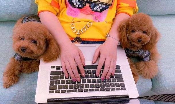 狗狗早已“认主”的6大个人行为 家里狗狗认你也没？(图2)