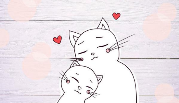 铲屎官遛猫时 家猫竟对流浪猫日久生情 原地苦等几小时(图1)