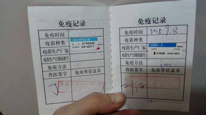 养狗要办什么证？这些你都办了吗(图2)