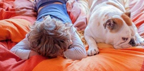 科谱：解释狗狗6大个人行为主人然后不容易再掉面子了(图2)